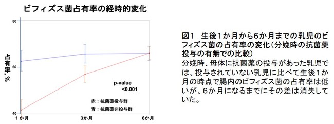 図１　生後１か月から６か月までの乳児のビフィズス菌の占有率の変化（分娩時の抗菌薬投与の有無での比較）