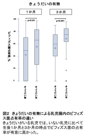 図２　きょうだいの有無による乳児腸内のビフィズス菌占有率の違い