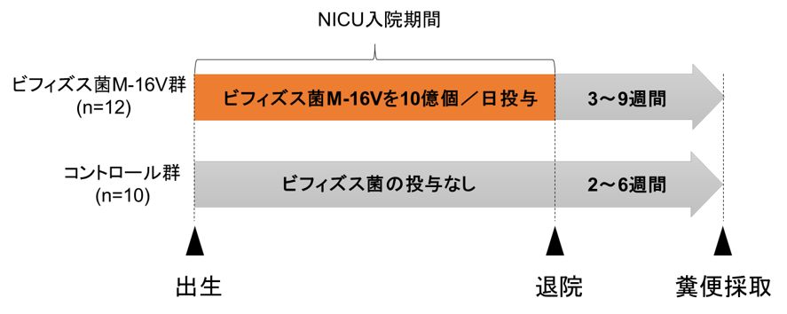 低出生体重児に早期投与したプロバイオティクスが長期的に腸管内に定着 学校法人 順天堂のプレスリリース