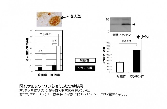 図１：サルにワクチンを投与した実験結果