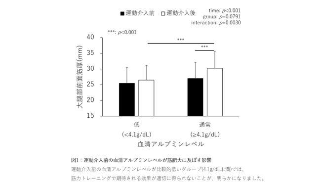 図1：運動介入前の血清アルブミンレベルが筋肥大に及ぼす影響