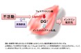 わずか24時間の不活動により筋肉に脂質が蓄積する