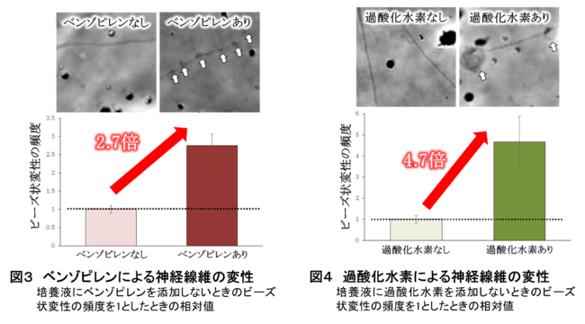 図3・図4