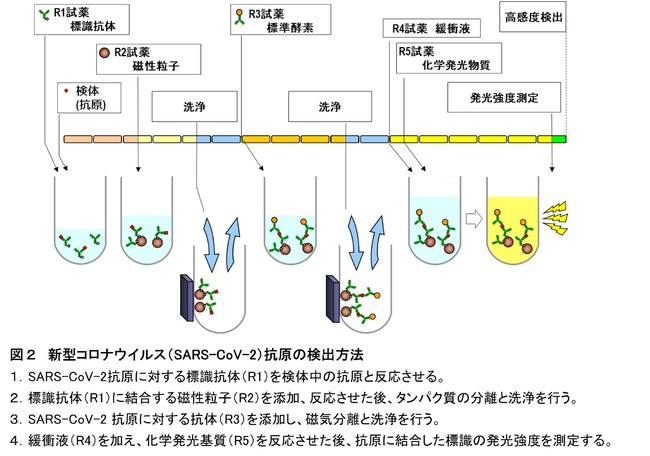 図２　新型コロナウイルス（SARS-CoV-2）抗原の検出方法
