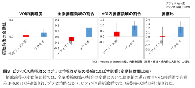 図3 ビフィズス菌摂取又はプラセボ摂取が脳の萎縮に及ぼす影響(変動値群間比較) 図3 ビフィズス菌摂取又はプラセボ摂取が脳の萎縮に及ぼす影響(変動値群間比較)