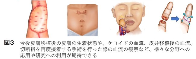 図3 図3
