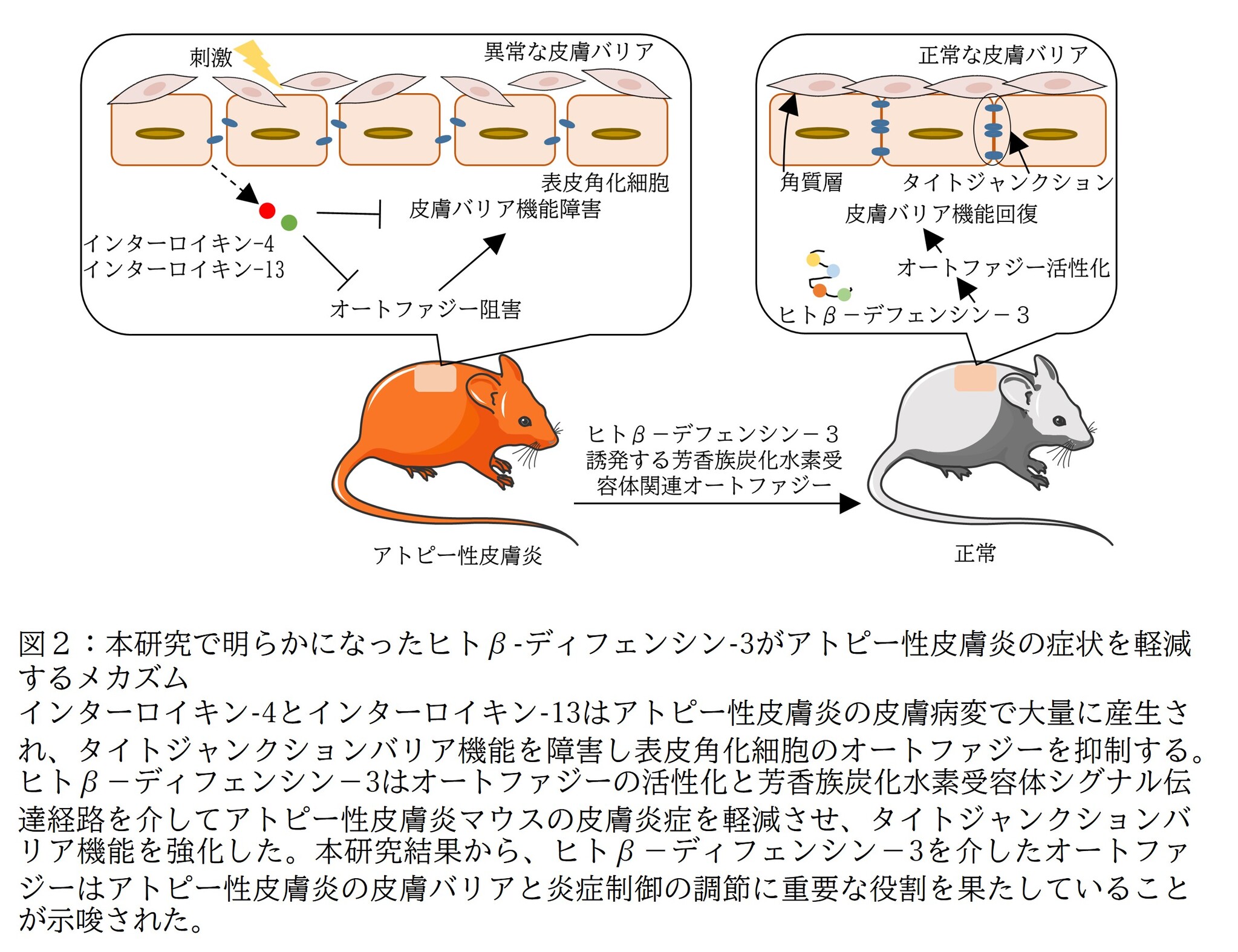 6. 検討すべき補助器具はありますか?