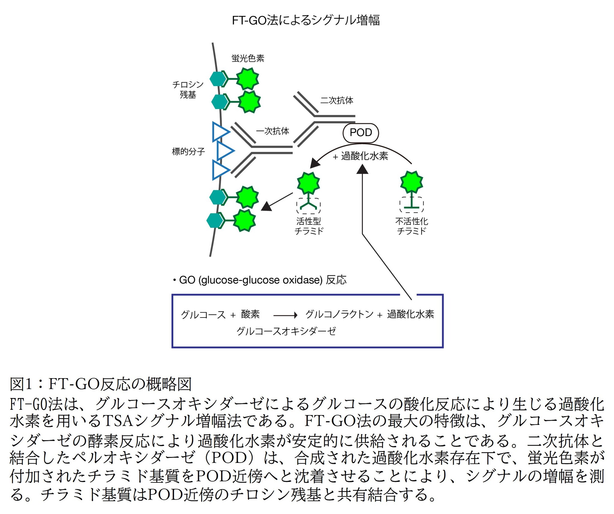 God法 Hk法 _ God電極法とは _ グルコース測定キット – ZVSR
