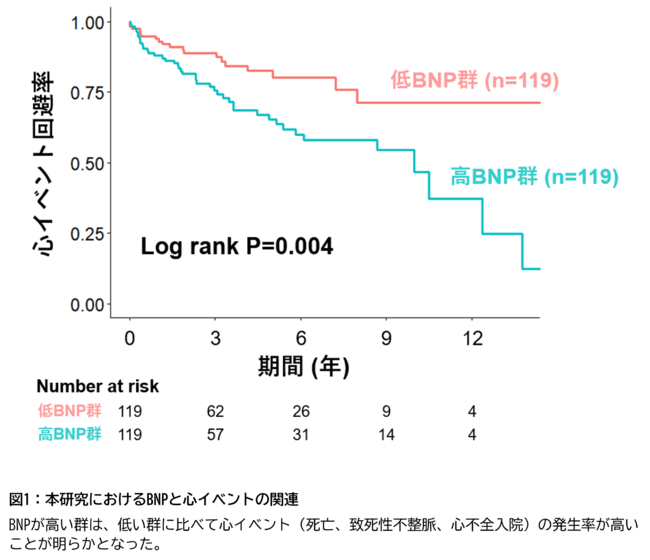図1:本研究におけるBNPと心イベントの関連 図1:本研究におけるBNPと心イベントの関連