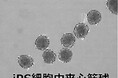 順天堂医院での治験1例目のiPS細胞由来心筋球治療を実施いたしました