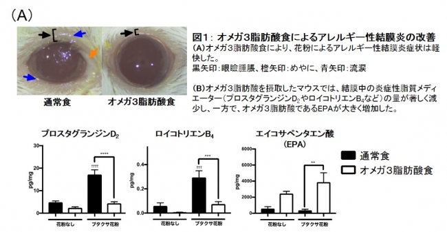 図１： オメガ３脂肪酸食によるアレルギー性結膜炎の改善