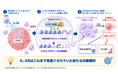 大腸癌の悪性化と免疫治療抵抗性をもたらす新たな分子機構を解明