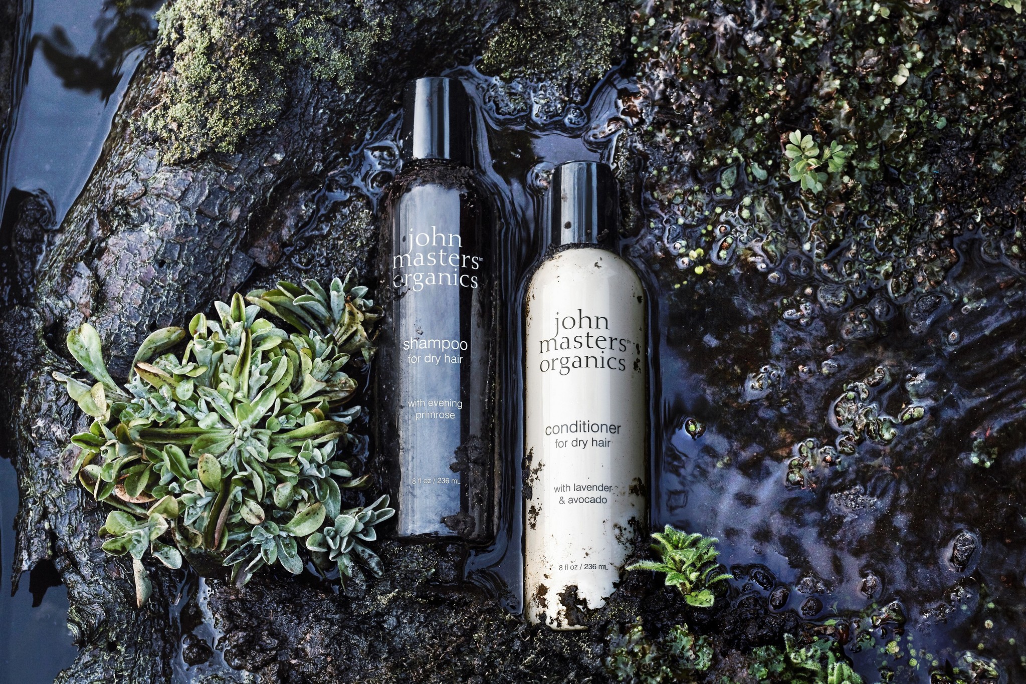 LOHACO、『john masters organics（ジョンマスターオーガニック）』の取り扱いを開始｜アスクル株式会社のプレスリリース