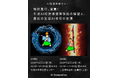 AI知財革新セミナー「特許業界、激震!生成AI特許権侵害訴訟の展望と、最新の生成AI技術の変遷」を開催します!!