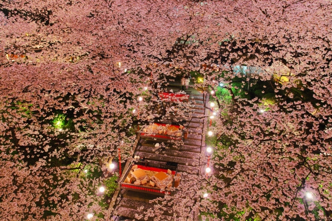 夜桜と桜桟敷席(グランドプリンスホテル高輪)　