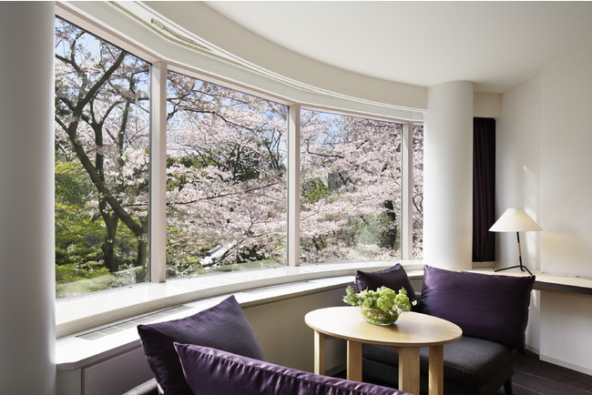 ザ・プリンス さくらタワー東京の客室から眺める日本庭園の桜