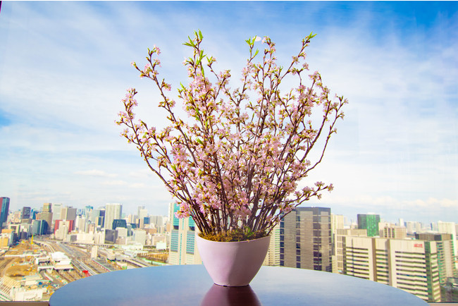 桜の生花アレンジメント