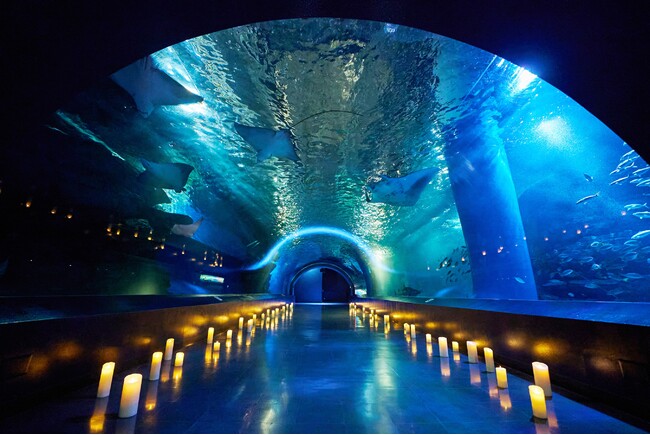 キャンドルで彩られる当プラン限定の演出 キャンドルで彩られる当プラン限定の演出