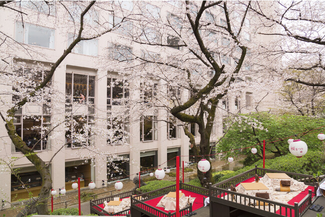 桜桟敷席 桜桟敷席