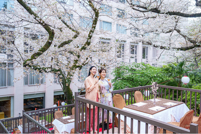 桜のトンネルの下でゆったりとお花見朝食を味わう