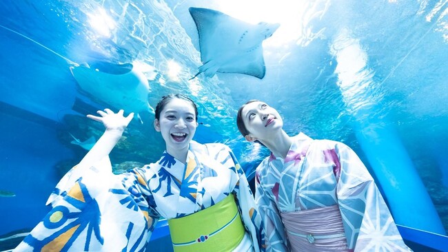 【品川プリンスホテル】浴衣を纏い水族館で涼しく夏の風情を愉しむ宿泊プランを販売