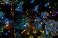 【グランドプリンスホテル高輪】1日1組限定で夜の水族館を貸し切り、ふたりだけの世界を楽しむ プレミアムなクリスマス宿泊プランの予約を開始