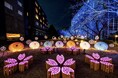 【高輪エリアのプリンスホテル】日本庭園に咲き誇る約210本もの桜と竹あかりが織りなす春の絶景 「桜の竹あかりライトアップ」を今年も開催