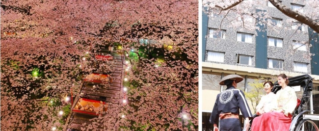 桜桟敷席とライトアップした日本庭園の夜桜（左）、人力車イメージ（右）