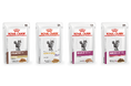 ロイヤルカナン、猫用食事療法食ウェットパウチ4製品を新発売