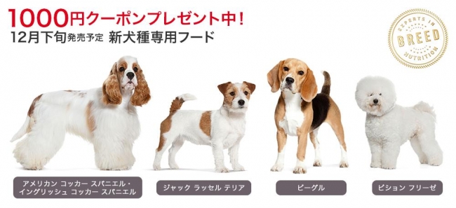 犬種専用フード 「ブリード ヘルス ニュートリション」新たに４犬種用