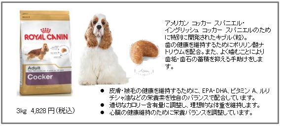 犬種専用フード ブリード ヘルス ニュートリション 新たに４犬種用製品を追加発売 ロイヤルカナン ジャポン合同会社のプレスリリース