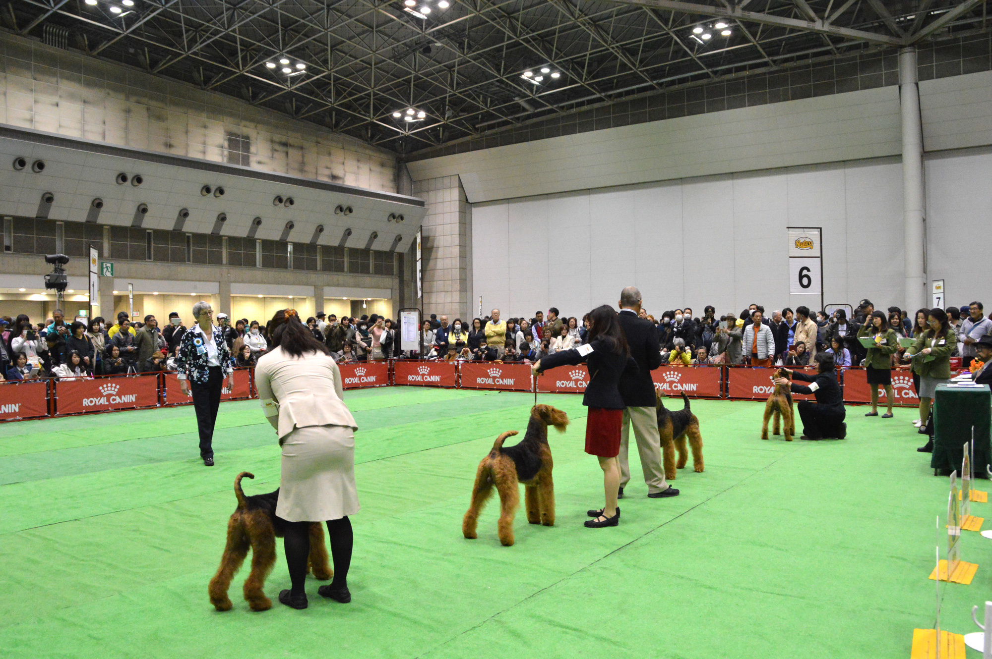 107犬種 1 156頭の純粋犬種が集う祭典 Fci ジャパンインターナショナルドッグショー21 開催 ロイヤルカナン ジャポン合同会社のプレスリリース