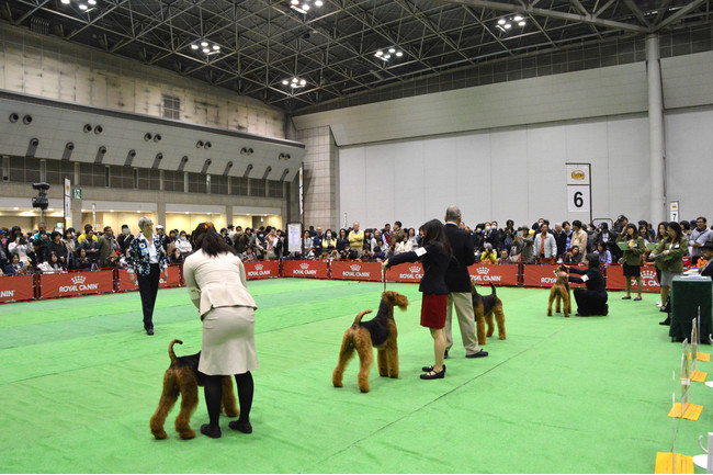 107犬種 1 156頭の純粋犬種が集う祭典 Fci ジャパンインターナショナルドッグショー21 開催 ロイヤルカナン ジャポン合同会社のプレスリリース