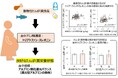 妊娠期におけるたんぱく質栄養状態には、特定の血中アミノ酸濃度が関係していることを確認