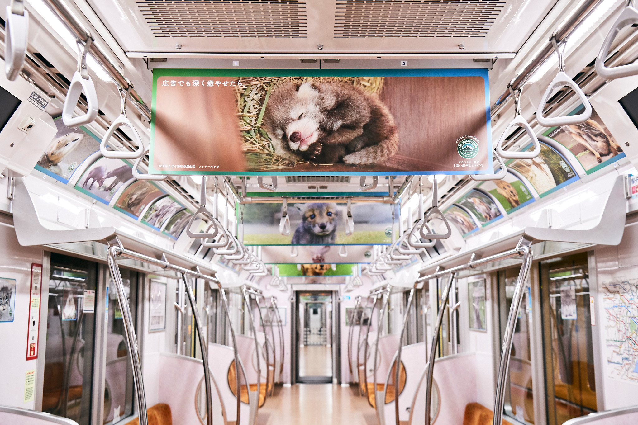 全国の動物園の人気者たちが電車をジャック 電車の中を癒やしの空間にかえる 深い癒やしトレイン が登場 森永乳業株式会社のプレスリリース