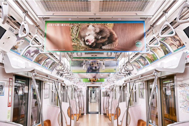 全国の動物園の人気者たちが電車をジャック！電車の中を癒やしの空間にかえる「深い癒やしトレイン」が登場