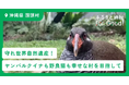 ふるさと納税forGood、沖縄県国頭村の「守れ世界自然遺産!ヤンバルクイナも野良猫も幸せな村を目指して」寄付受付開始