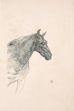 《ポニーのフィリベール》1898年　56.0×36.0cm　リトグラフ