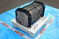 JF全漁連・JF福島漁連・海洋建設(株)・東京ガス(株)がJFいわき市・JF相馬双葉と「福島県沿岸における藻場育成等を通じた豊かな海づくりに関する協定書」を締結