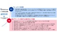 東京海上グループと連携、カーボンクレジットの信頼性向上を目的 とした「人権尊重のためのフレームワーク」を策定