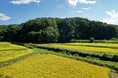 パタゴニア日本支社、農業の未来を考える「リジェネラティブ・オーガニック農業スクール」を始動