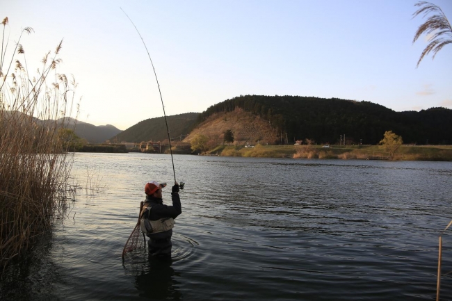 北上川のロコアングラー・武山重之さん。毎年２桁釣果を目標に川に通い詰めます。取材でも見事サクラマスをキャッチ！