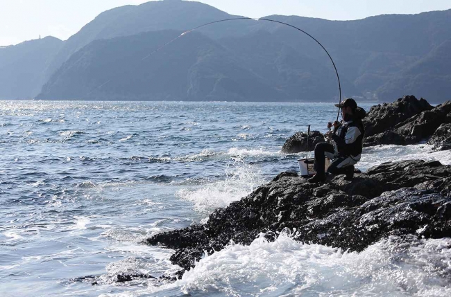 大分 釣り 情報