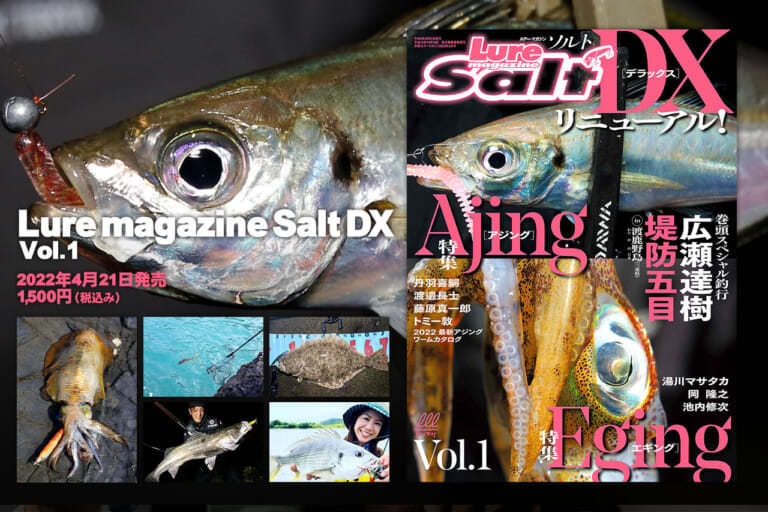 ルアーマガジン ソルト 2020年4月号 全国版 今、釣れる魚ポイント＆テク