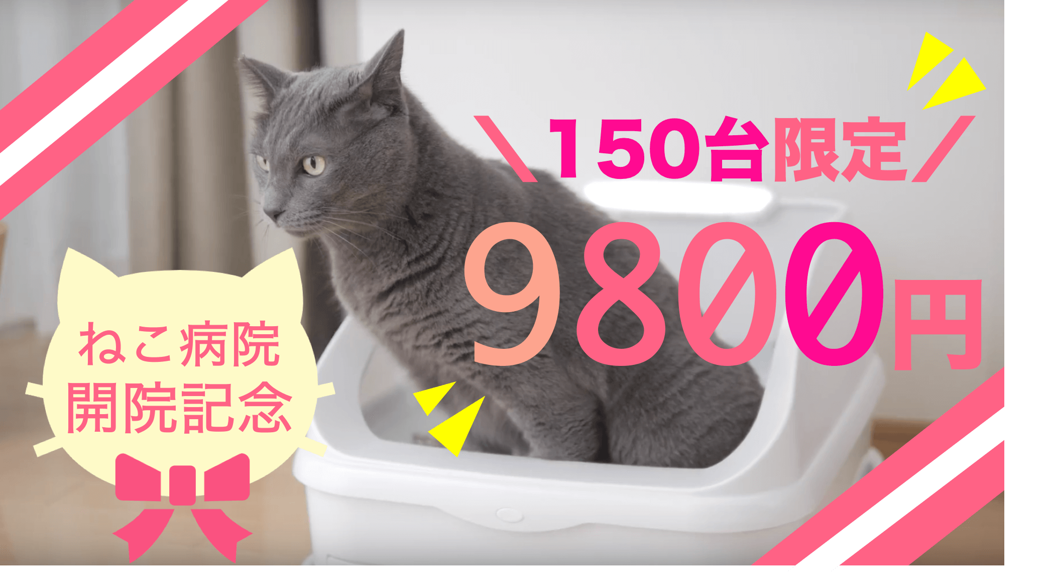 20,000円OFF】スマートねこトイレtolettaが150台限定で9,800円 