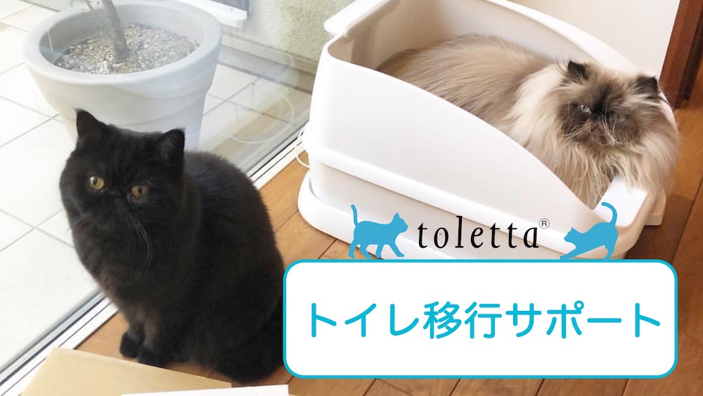 Toletta トレッタ ご利用者全ねこ対象 トイレ移行サポート をスタート 5 000頭以上のねこのトイレ利用データをもとにアドバイス トレッタ キャッツのプレスリリース