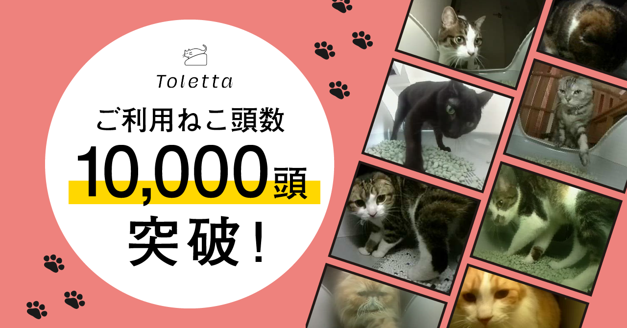 ねこヘルスチェックサービス「Toletta（トレッタ）」利用ねこ頭数 