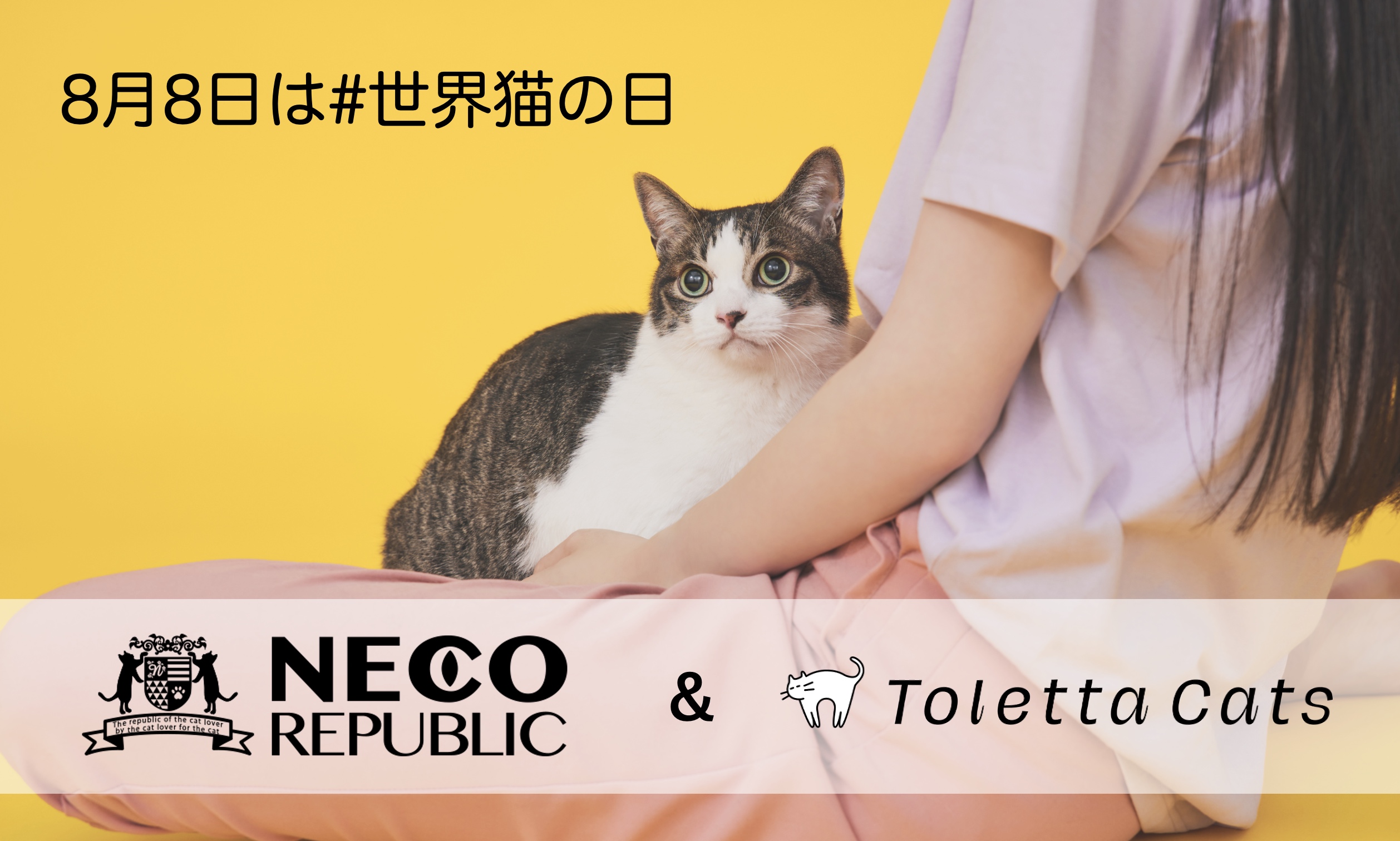 8月8日は 世界猫の日 すべての猫の幸せと健康を願って トレッタキャッツが保護猫 支援事業を展開するネコリパブリックへの３つの支援を発表 トレッタキャッツのプレスリリース