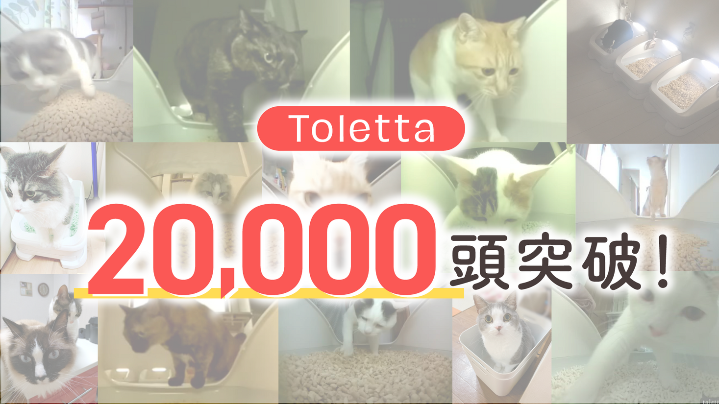 カメラ付きねこトイレ『トレッタ』の利用ねこ頭数が２万頭を突破