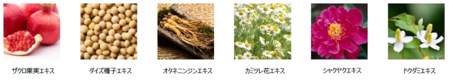 6種の植物成分